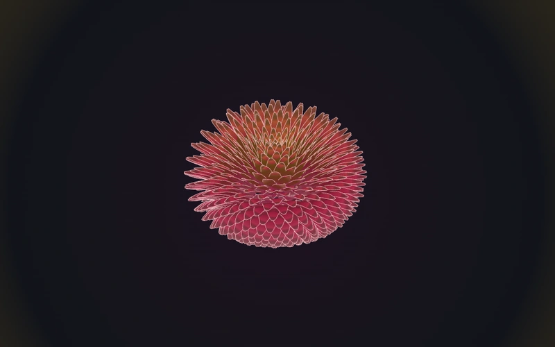 Geometric Dahlia